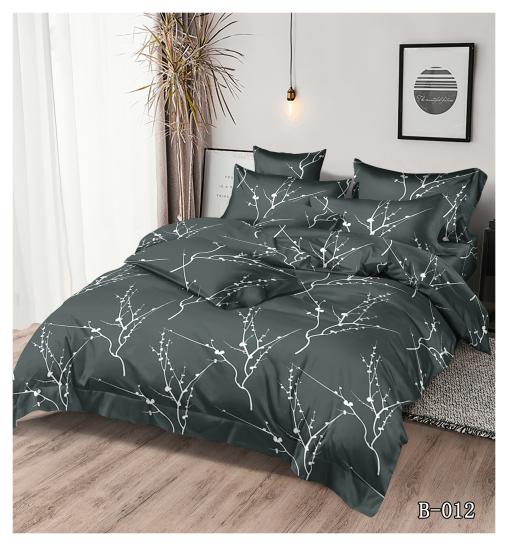 Постельное белье "GALAXY" (размер: 1,5 сп., дизайн: В/012)
