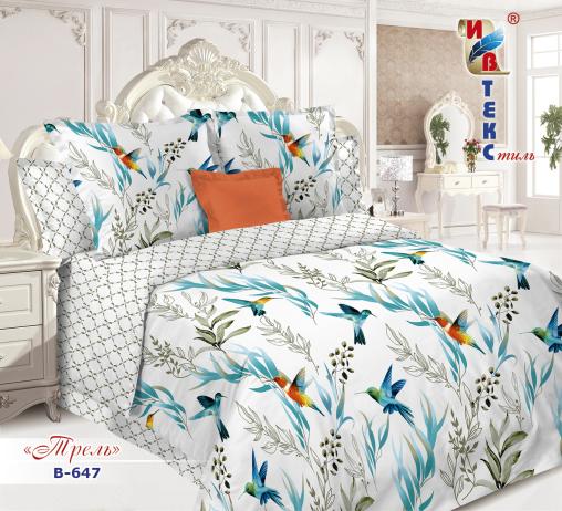 Постельное белье поплин "ИВТЕКС" (размер: евро, дизайн: В-647 Трель)